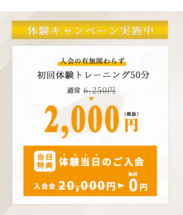 体験キャンペーン